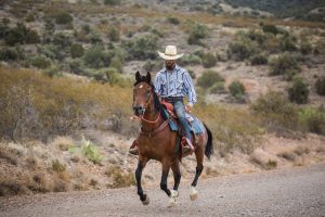 Horsin' Around Adventures - Sedona, AZ horseback riding