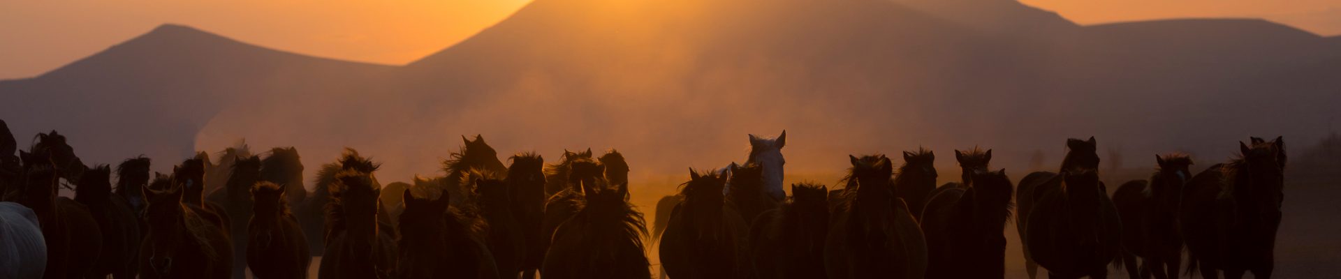 Horsin' Around Adventures - Sedona, AZ horseback riding